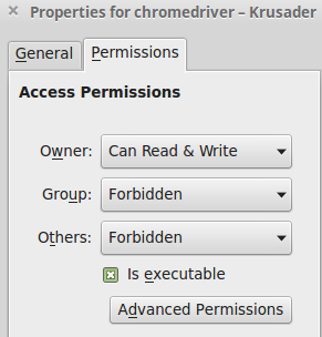 chromderiver file properties and permissions